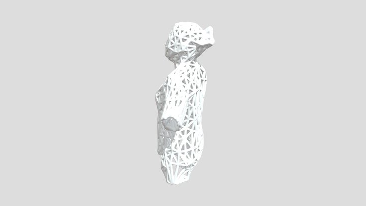 EDGES BODY 3D Model