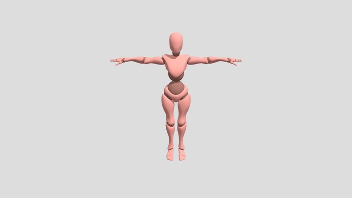 Xbot 3D Model