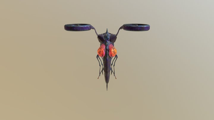 insectocoptère2 3D Model