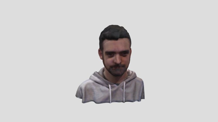 Dean Bust 01 In Colour 3D Model