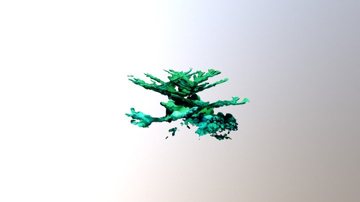 Elkhorn Coral (Little Cayman) 3D Model