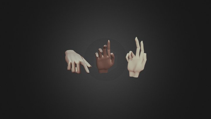 Rigged Hand base Mesh 3D Model