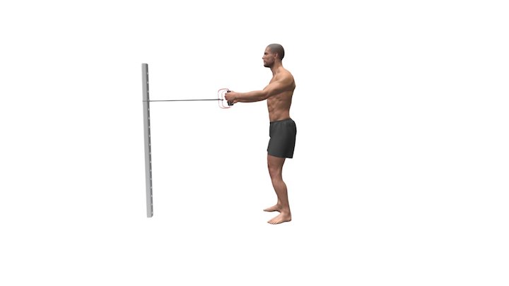 Standing Resistance Band Rows 3D Model