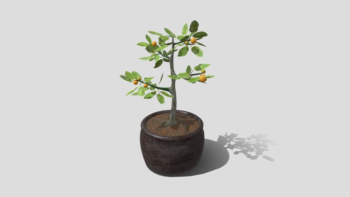 plant_03 3D Model