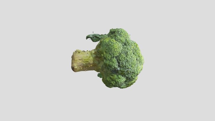 Broccoli Top 3D Model