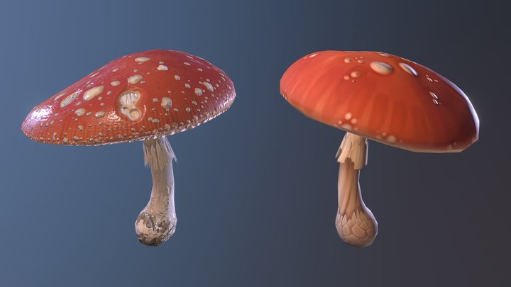 Mushroom Style Study 3D Model