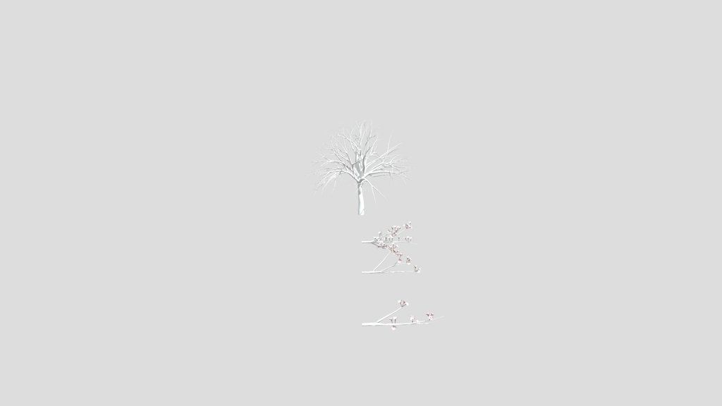 Cherry Blossom Tree
