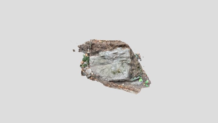 Untitled Scan 3D Model