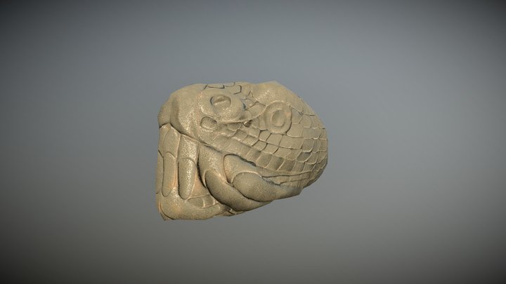 Snake Head 3D Model