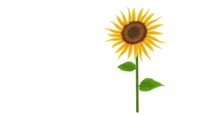 Sunflower Watercolor 3D Model