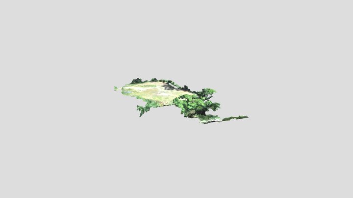 Alto Espinheiros 3D Model
