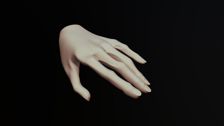 Hand 3D Model