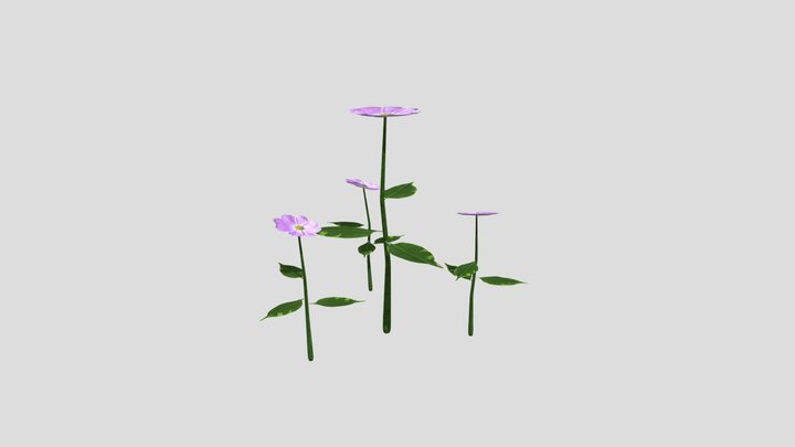 Purple Flowers 3D Model