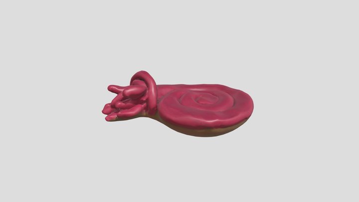 amonite without base – Kostenloses 3D-Modell STL
