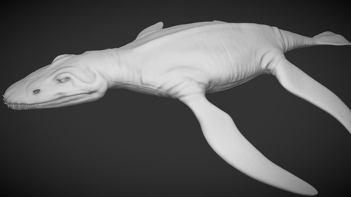 Liopleurodon 3D Model