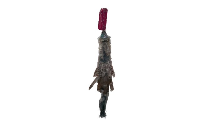 YAQUI WOI' CHOMO - COYOTE PLUME HEADDRESS 3D Model