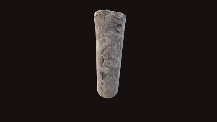 cipo_reproyectado 3D Model