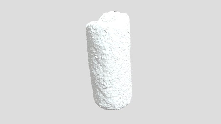 OBJ File of Punta Ycacos Cylinder 3D Model