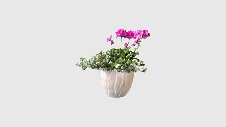 Flowers 3D Model