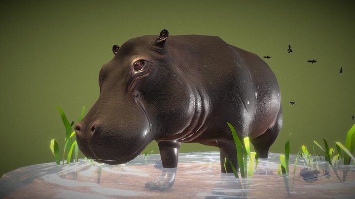 Animal-reference 3D models - Sketchfab