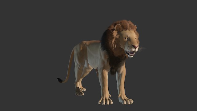 Lion Textures Posed 3D Model