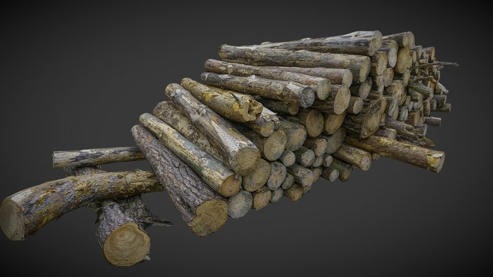 Pile of logs, heap of wood 02 3D Model