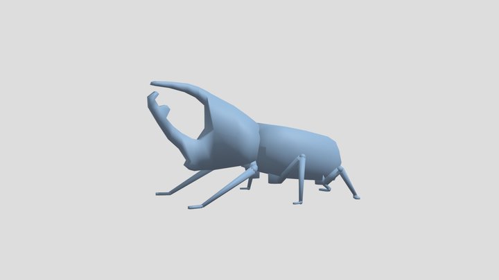 Beetle Low Poly 3D Model