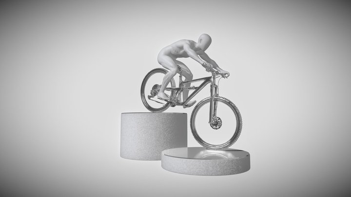 BIKING 3D Model