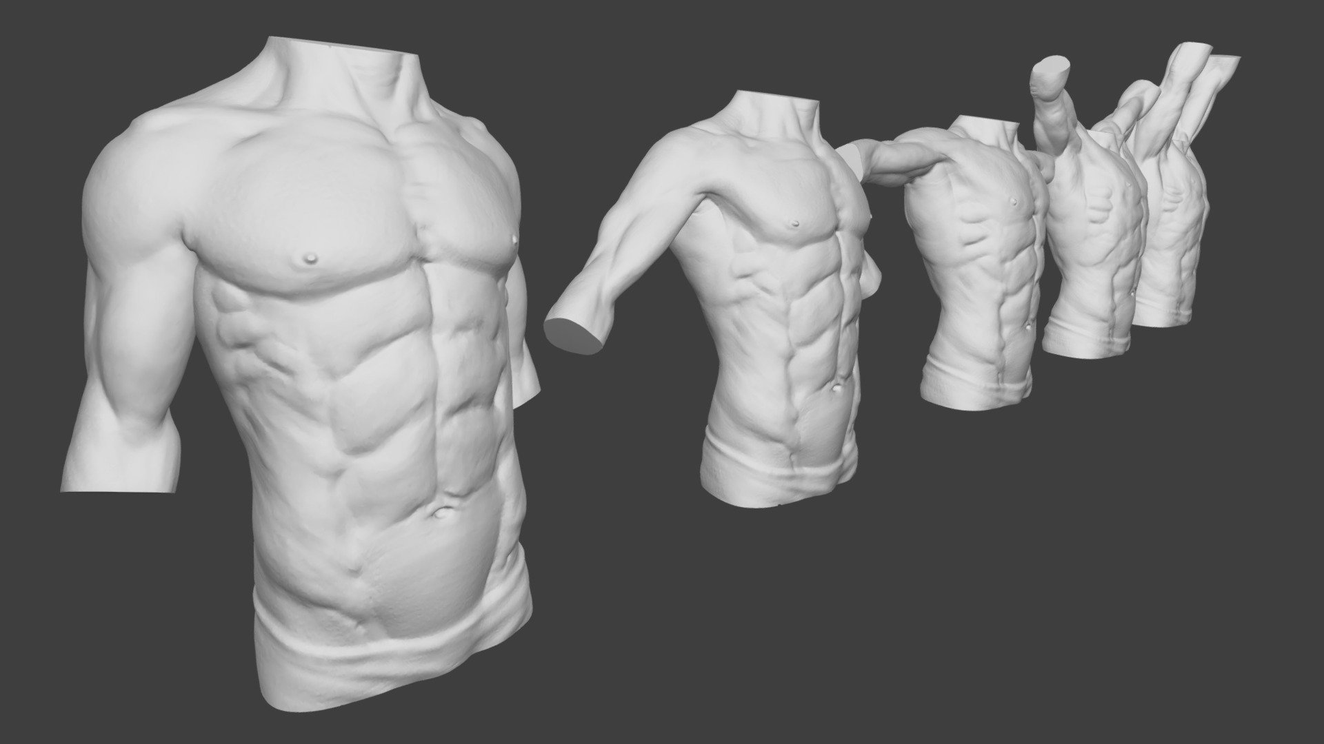 Moving Male Torso Anatomy Buy Royalty Free 3d Model By Caterinazamai
