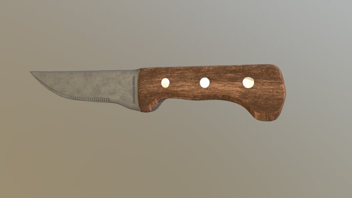 Common Kitchen Knife (v3) 3D Model
