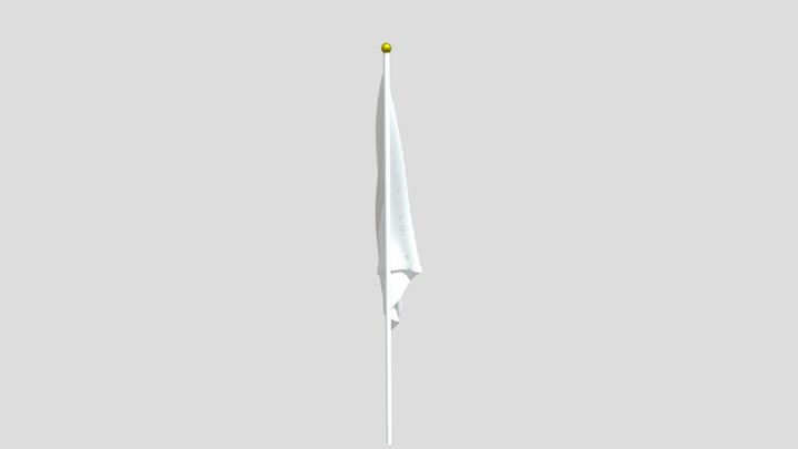 Флаг 3D Model