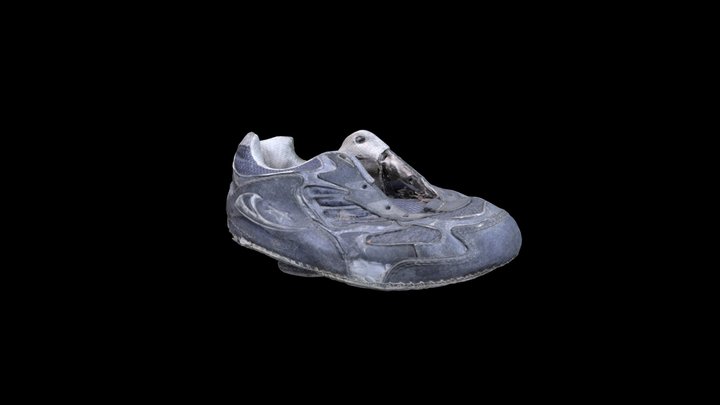 Shoe | Sonoran Desert | Things They Left Behind 3D Model