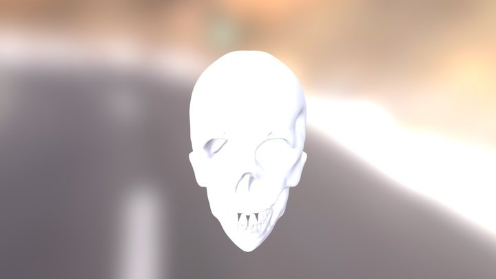 Skull[Practice] 3D Model