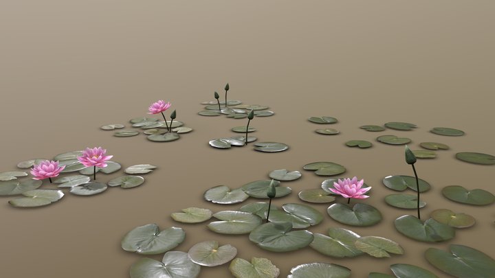 Water Lilly's game ready low poly 3D Model