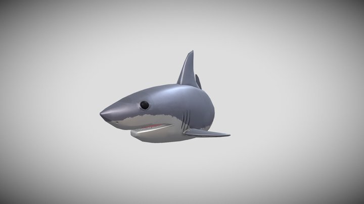 Shark - 3D model by Indy [d56058d] - Sketchfab