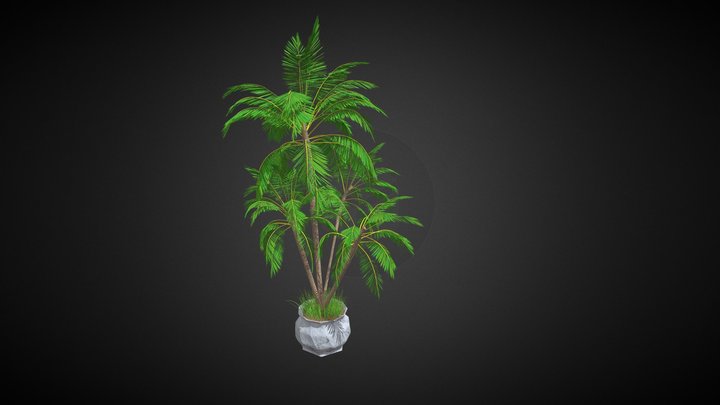 4 palms + vase + grass 3D Model
