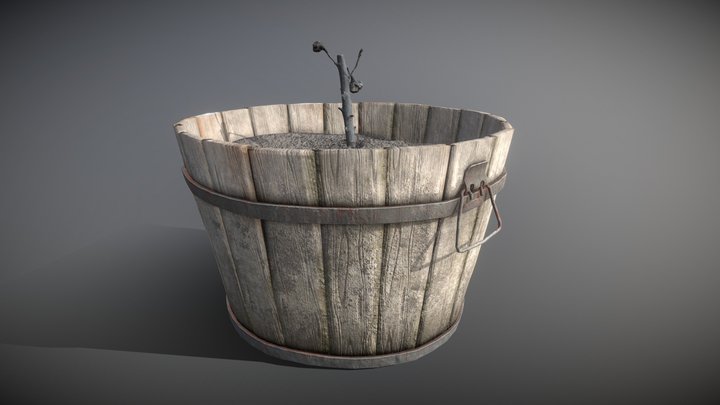 3D Scan of a sunflower in a barrel 3D Model