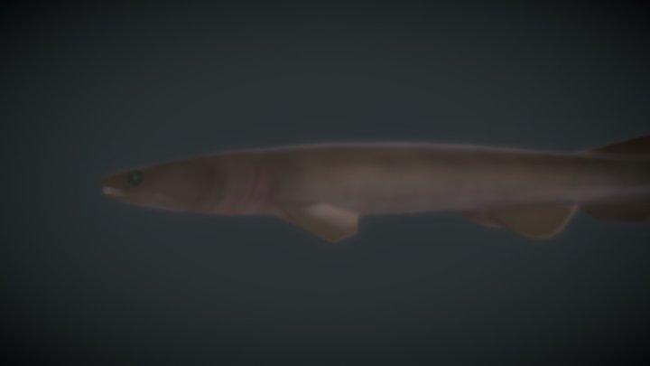 Frilled Shark 3D Model