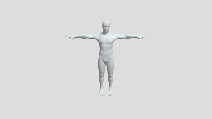 Human 2 1 3D Model