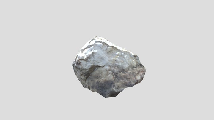 NooneyCleanup 3D Model