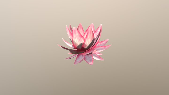Lotus Slow 3D Model