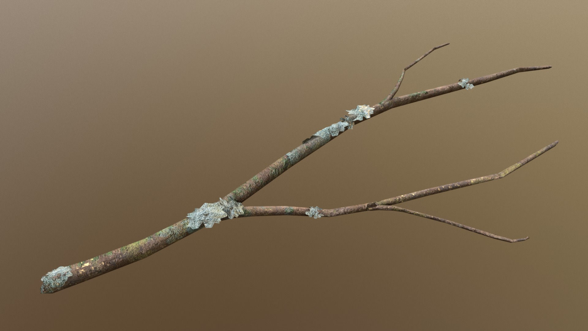 3D model Forest Branch - This is a 3D model of the Forest Branch. The 3D model is about a close-up of a water droplet on a branch.