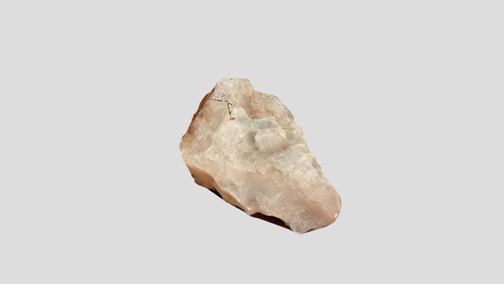Common Citrine 3D Model