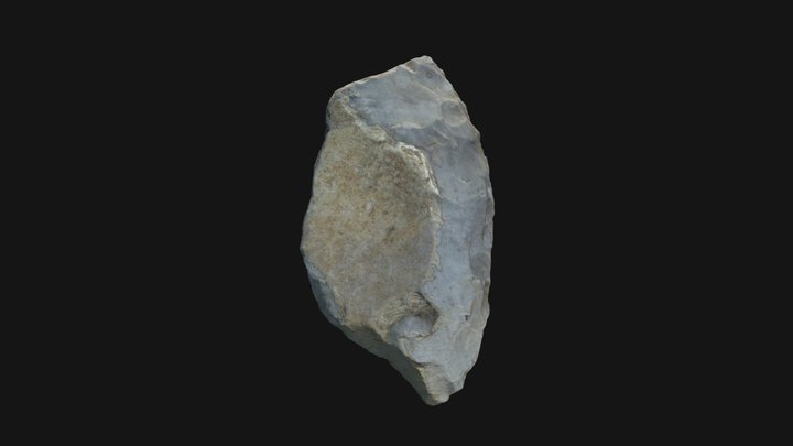 La Quina - side scraper 3D Model