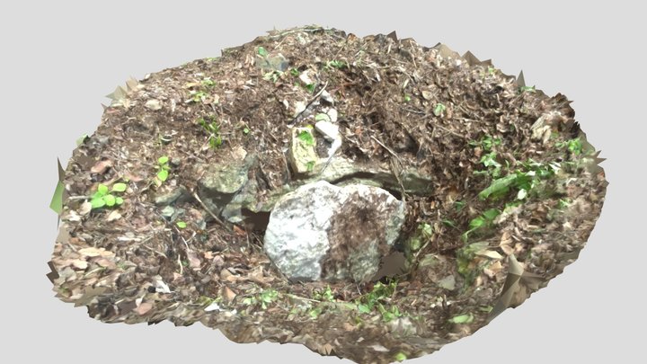 Chicanna, Campeche, Mexico: Sascabera 3D Model