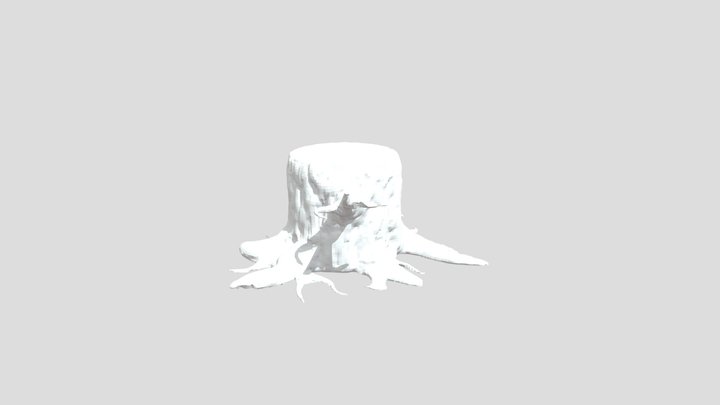 Colwell0304 Tree02 3D Model