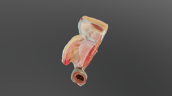 2ND Test 3D Model
