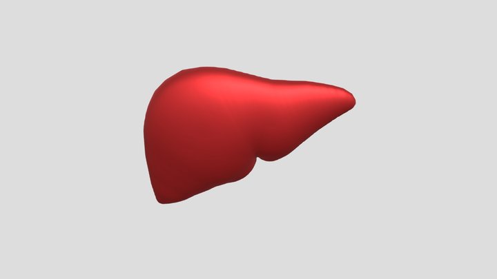 JANTUNG SEDERHANA 3D Model