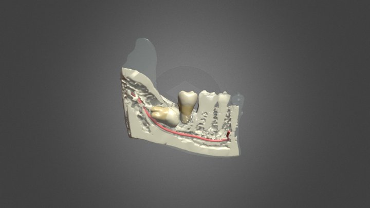 Wu 48 to47 3D Model