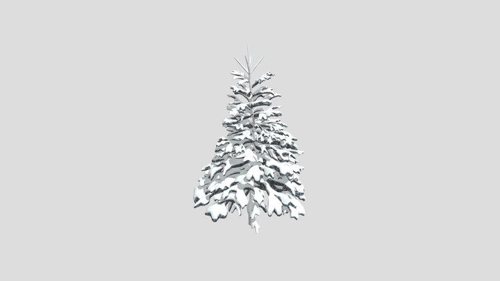Blue pine under snow 3D Model